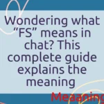 FS Meaning in Chat