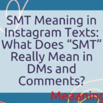 SMT Meaning in Instagram Texts