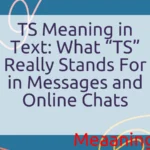 TS Meaning in Text