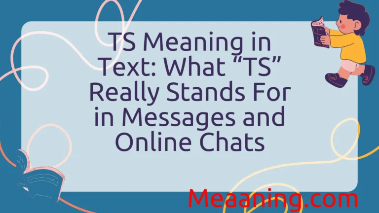 TS Meaning in Text