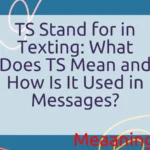 TS Stand for in Texting