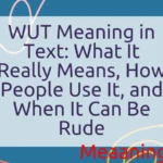 WUT Meaning in Text