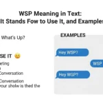WSP Meaning in Text
