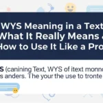 WYS Meaning in a Text