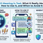 PMO Meaning in Text