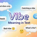 Vibe Meaning in Text
