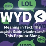 WYD Meaning in Text
