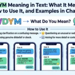 WDYM Meaning in Text