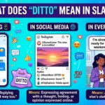 Ditto Meaning Slang