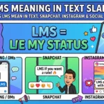 LMS Meaning in Text Slang