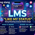 LMS Meaning Slang