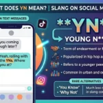 YN Meaning Slang