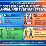 Fold Meaning Slang
