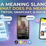 PA Meaning Slang